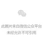 菲律宾城市公共交通协会充电设施分会一行 莅临奥特迅考察调研 菲律宾城市公共交通协会充电设施分会一行 莅临奥特迅考察调研